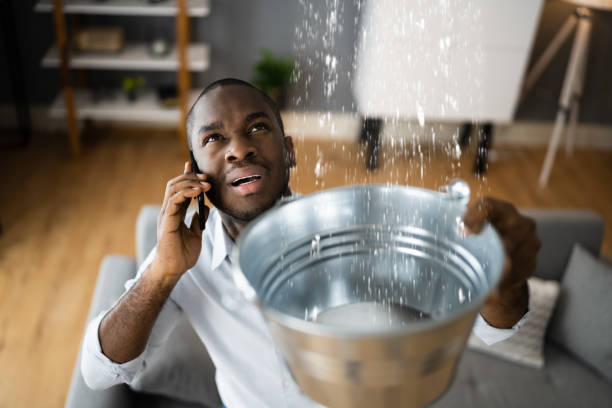 Best Water damage cleanup near me  in Electra, TX