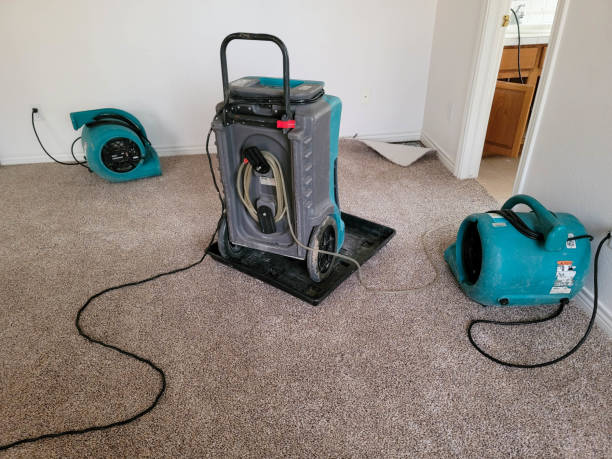 Best Water damage restoration near me  in Electra, TX