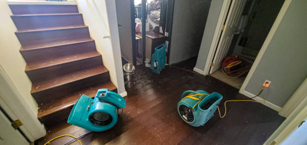 Best Residential water damage restoration  in Electra, TX