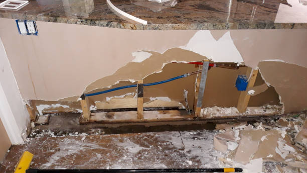 Best Local water damage restoration  in Electra, TX