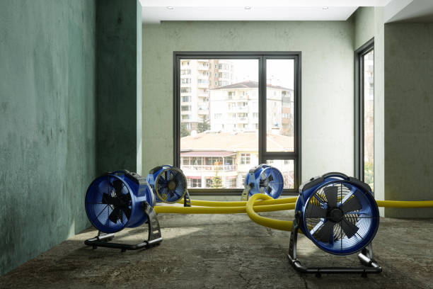 Best Fire Damage Restoration  in Electra, TX