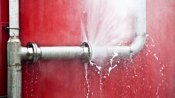 Water damage restoration mold remediation in Electra, TX