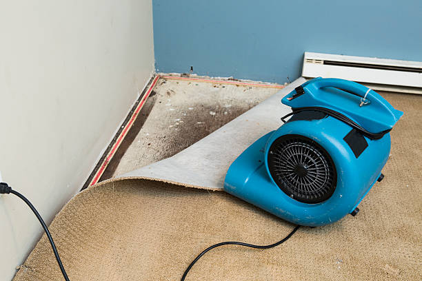 Best Water damage restoration near me  in Electra, TX